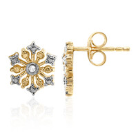 Orecchini in argento con Diamante I2 (I)