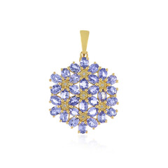 Ciondolo in argento con Tanzanite