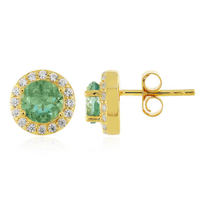 Orecchini in argento con Fluorite Esperanza