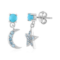 Orecchini in argento con Turchese