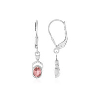 Orecchini in argento con Tormalina