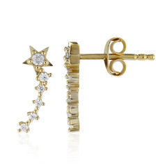 Orecchini in argento con Zircone