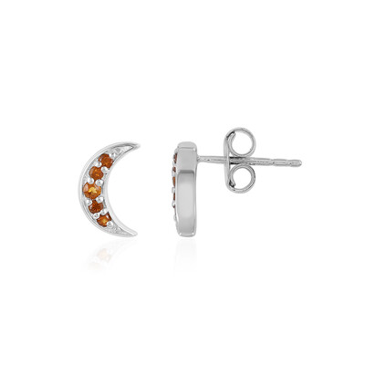 Orecchini in argento con Citrino