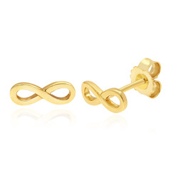 Orecchini in argento