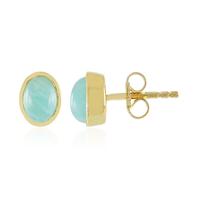 Orecchini in argento con Amazzonite