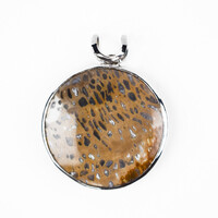 Ciondolo in argento con Legno Fossile