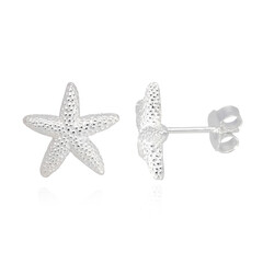 Orecchini in argento
