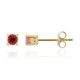 Orecchini in oro con Rubellite