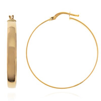 Orecchini in oro