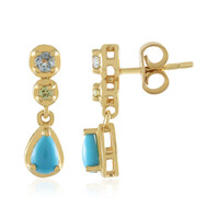 Orecchini in argento con Turchese Sleeping Beauty