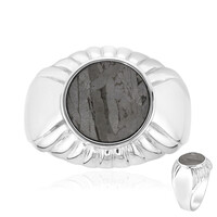 Anello in argento con Meteoriti di Aletai