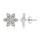 Orecchini in argento con Alessandrite