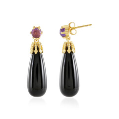 Orecchini in argento con Onice Nero