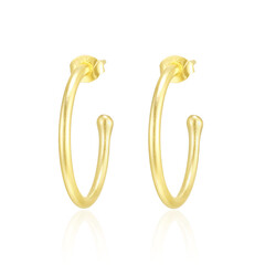 Orecchini in argento (Maigold Kreativ)