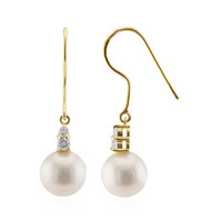 Orecchini in oro con Perla d'Acqua Dolce Bianca (TPC)