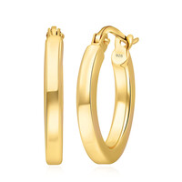 Orecchini in argento