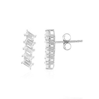 Orecchini in argento con Zircone