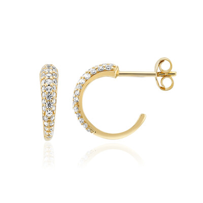 Orecchini in argento con Zircone