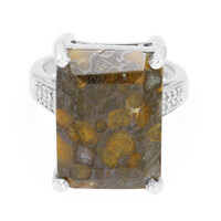 Anello in argento con Quarzo Dinosauro