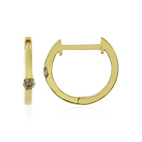 Orecchini in argento con Diamante Champagne I4