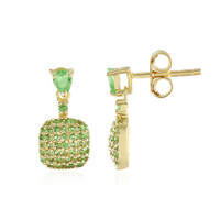 Orecchini in argento con Tsavorite
