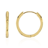 Orecchini in argento