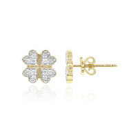 Orecchini in oro con Diamante SI1 (G)