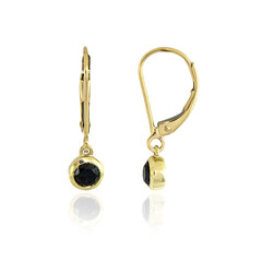 Orecchini in oro con Diamante Nero