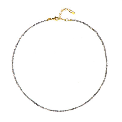 Collana in argento con Diamante Color Argento