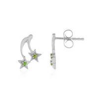 Orecchini in argento con Diopside Russo