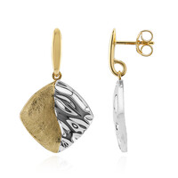 Orecchini in argento