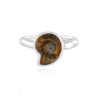 Anello in argento con Ammonite
