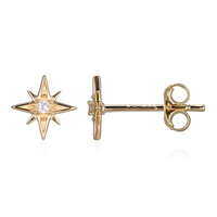 Orecchini in argento con Zircone