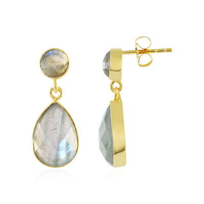 Orecchini in argento con Labradorite