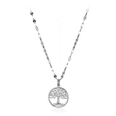 Collana in argento con Zircone