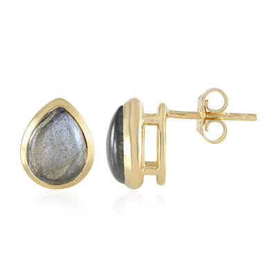 Orecchini in argento con Labradorite
