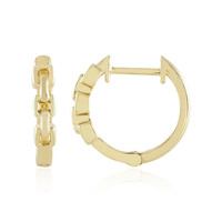 Orecchini in argento