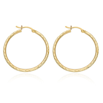 Orecchini in oro