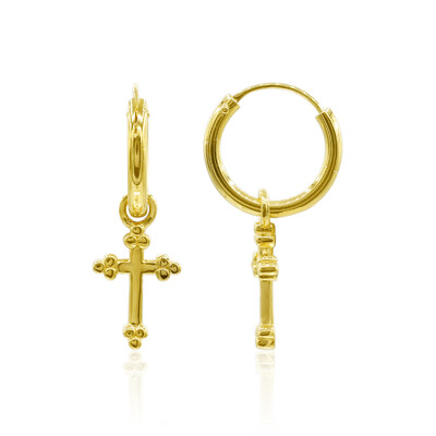 Orecchini in argento