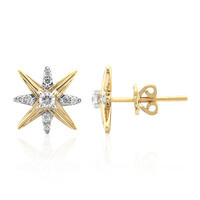 Orecchini in oro con Diamante IF (D)