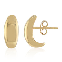 Orecchini in argento