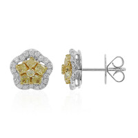 Orecchini in oro con Diamante Giallo SI2 (CIRARI)
