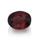 Gemma con Rubellite 0.374 ct