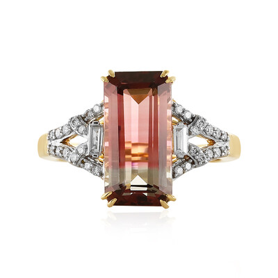 Anello in oro con Tormalina Bicolore (D'vyere)