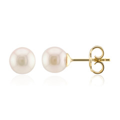 Orecchini in argento con Perla Akoya (TPC)