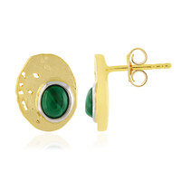 Orecchini in argento con Malachite