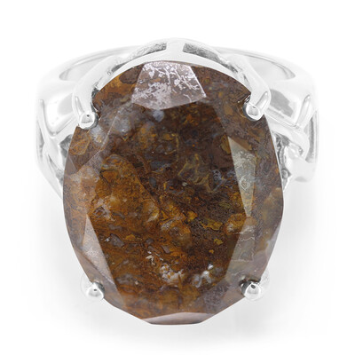 Anello in argento con Quarzo Dinosauro
