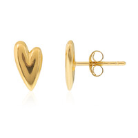 Orecchini in argento