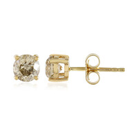 Orecchini in oro con Diamante Cioccolato I1