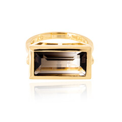 Anello in argento con Quarzo Bicolore